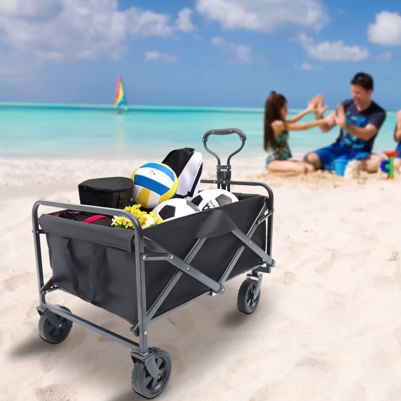 Chariot à la plage